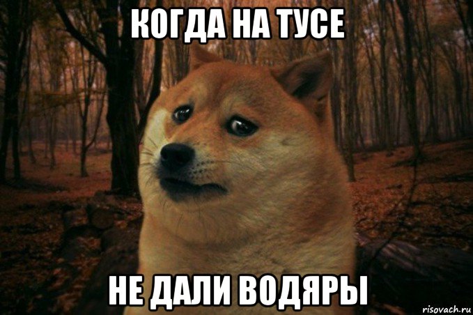 когда на тусе не дали водяры, Мем SAD DOGE