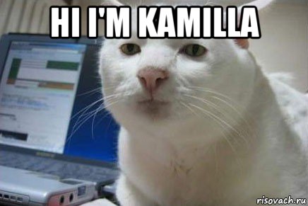 нi i'm kamilla 