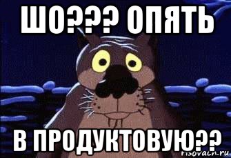 шо??? опять в продуктовую??