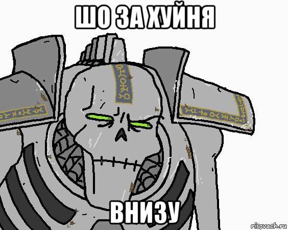 шо за хуйня внизу, Мем Шо За Хуйня