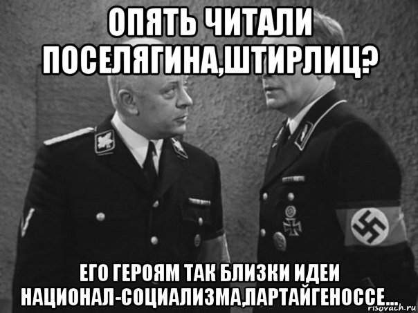 опять читали поселягина,штирлиц? его героям так близки идеи национал-социализма,партайгеноссе...