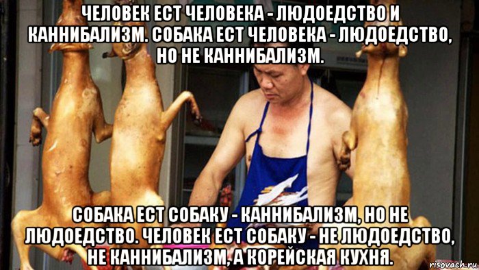 человек ест человека - людоедство и каннибализм. собака ест человека - людоедство, но не каннибализм. собака ест собаку - каннибализм, но не людоедство. человек ест собаку - не людоедство, не каннибализм, а корейская кухня., Мем Собачатина