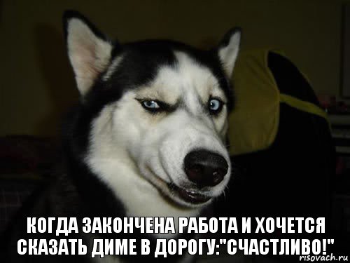 когда закончена работа и хочется сказать диме в дорогу:"счастливо!", Комикс  Собака подозревака