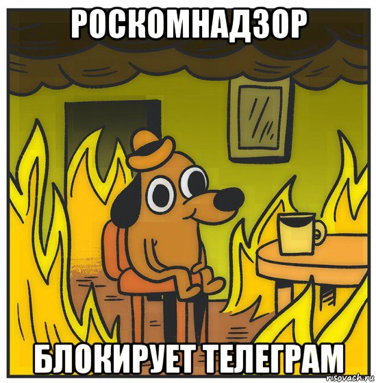 роскомнадзор блокирует телеграм