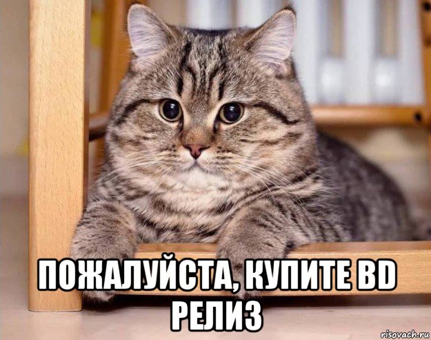  пожалуйста, купите bd релиз