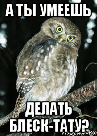 а ты умеешь делать блеск-тату?