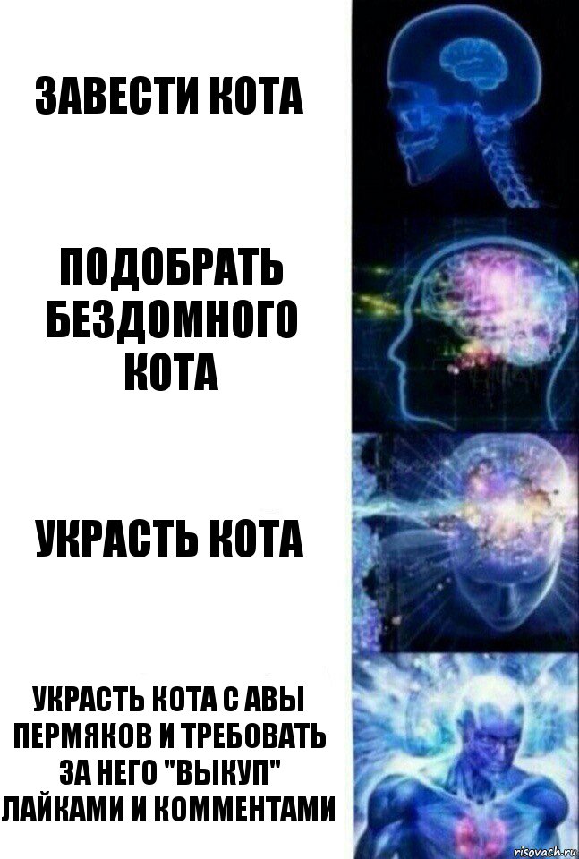 завести кота Подобрать бездомного кота Украсть кота Украсть кота с авы пермяков и требовать за него "выкуп" лайками и комментами, Комикс  Сверхразум