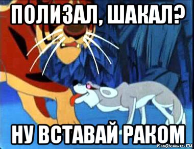 полизал, шакал? ну вставай раком