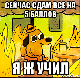 сейчас сдам все на 5 баллов я ж учил