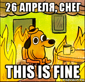 26 апреля, снег this is fine