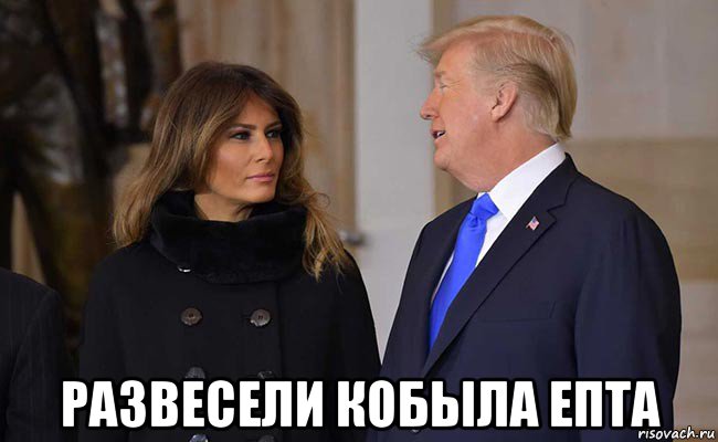  развесели кобыла епта
