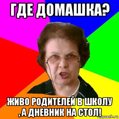 где домашка? живо родителей в школу , а дневник на стол!, Мем Типичная училка