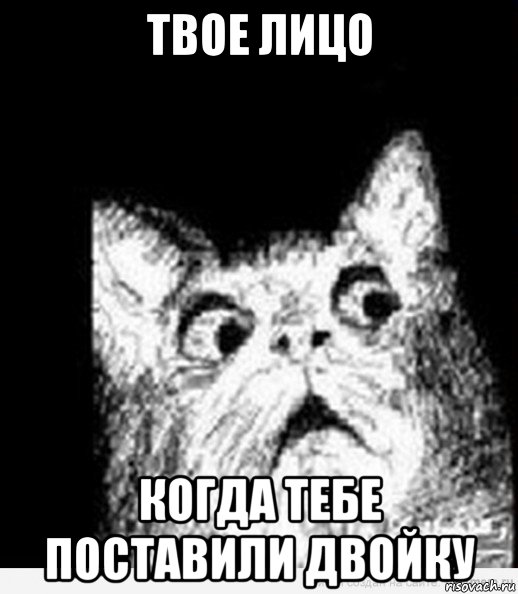 твое лицо когда тебе поставили двойку
