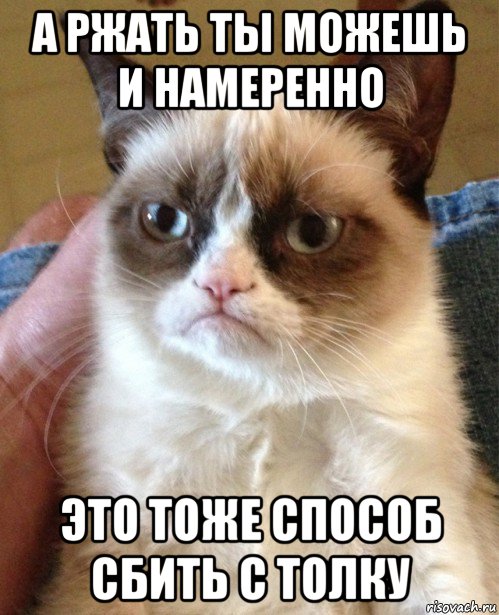 а ржать ты можешь и намеренно это тоже способ сбить с толку, Мем Угрюмый кот