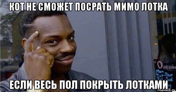 кот не сможет посрать мимо лотка если весь пол покрыть лотками, Мем Умный Негр