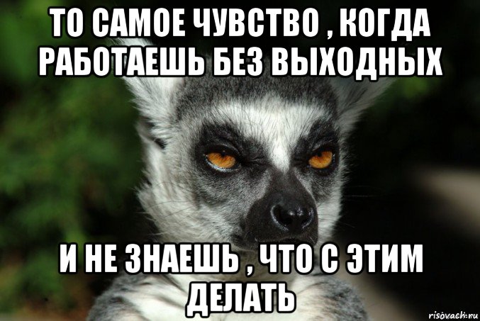 то самое чувство , когда работаешь без выходных и не знаешь , что с этим делать