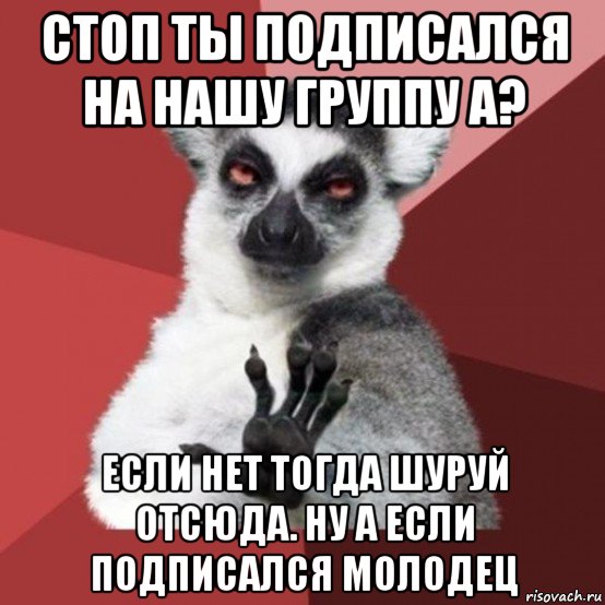 стоп ты подписался на нашу группу а? если нет тогда шуруй отсюда. ну а если подписался молодец, Мем Узбагойзя