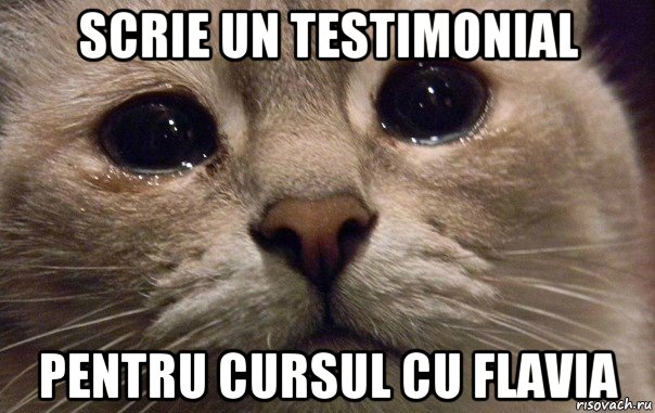 scrie un testimonial pentru cursul cu flavia, Мем   В мире грустит один котик