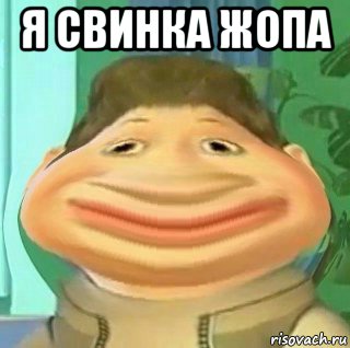 я свинка жопа 