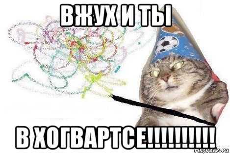 вжух и ты в хогвартсе!!!!!!!!!!, Мем Вжух мем