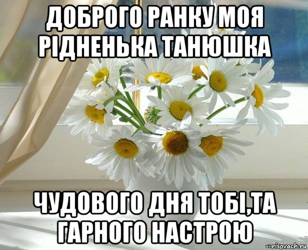 доброго ранку моя рідненька танюшка чудового дня тобі,та гарного настрою, Мем xddddd