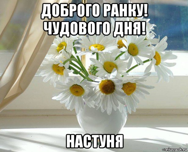 доброго ранку! чудового дня! настуня, Мем xddddd