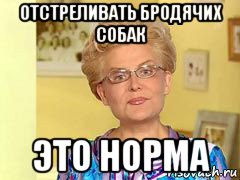 отстреливать бродячих собак это норма