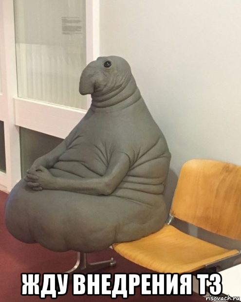  жду внедрения тз