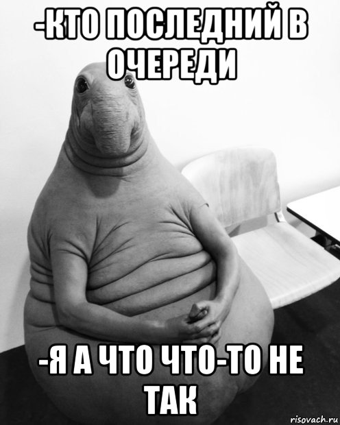 -кто последний в очереди -я а что что-то не так, Мем  Ждун