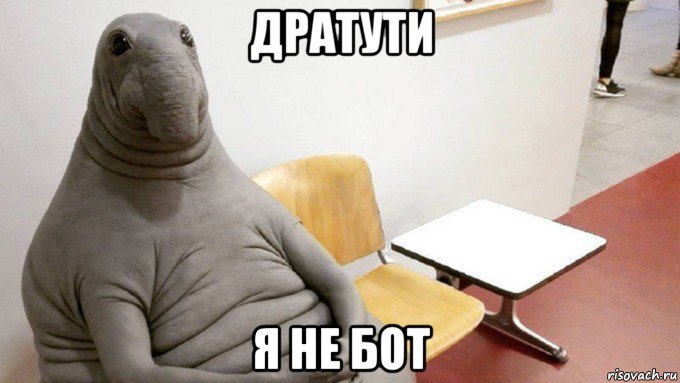 дратути я не бот