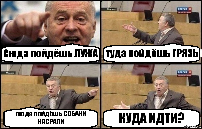 Сюда пойдёшь ЛУЖА туда пойдёшь ГРЯЗЬ сюда пойдёшь СОБАКИ НАСРАЛИ КУДА ИДТИ?, Комикс Жириновский