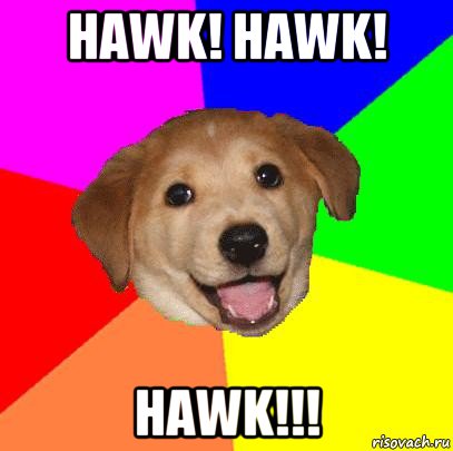 hawk! hawk! hawk!!!, Мем Advice Dog