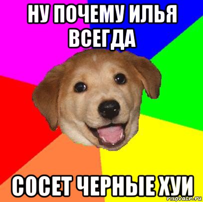 ну почему илья всегда сосет черные хуи, Мем Advice Dog