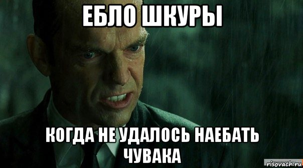 ебло шкуры когда не удалось наебать чувака