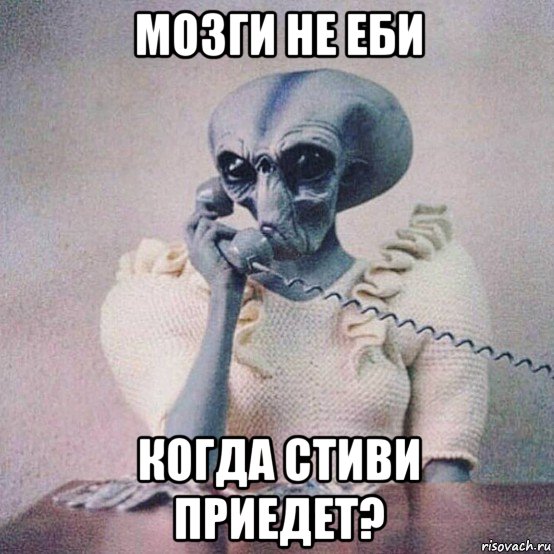 мозги не еби когда стиви приедет?