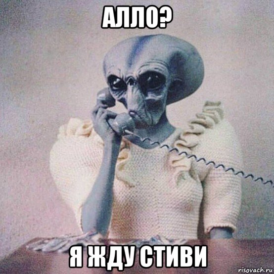 алло? я жду стиви