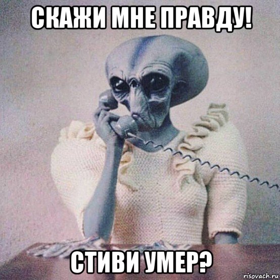 скажи мне правду! стиви умер?