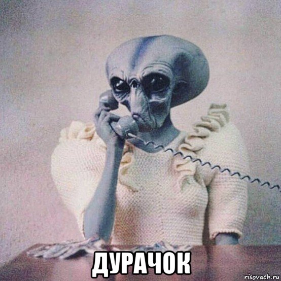  дурачок