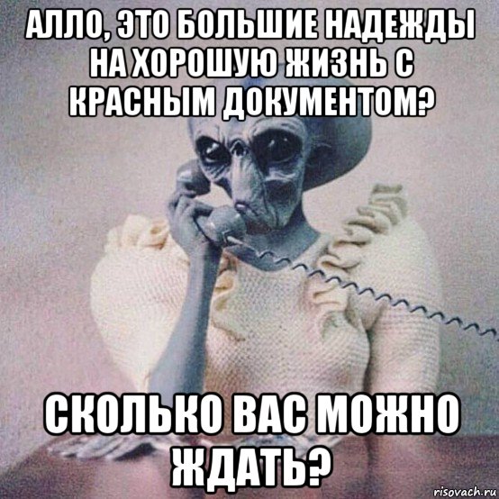 алло, это большие надежды на хорошую жизнь с красным документом? сколько вас можно ждать?