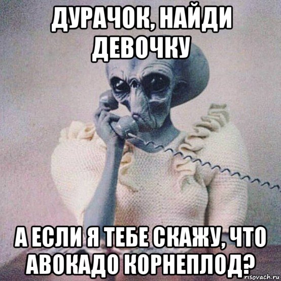 дурачок, найди девочку а если я тебе скажу, что авокадо корнеплод?