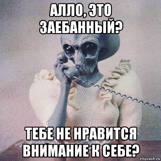 алло, это заебанный? тебе не нравится внимание к себе?
