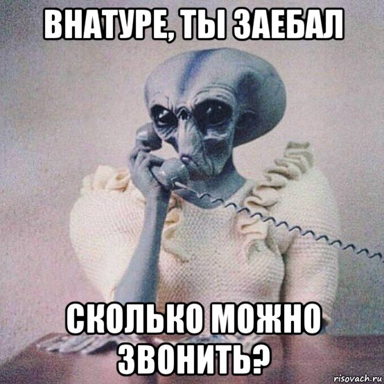 внатуре, ты заебал сколько можно звонить?