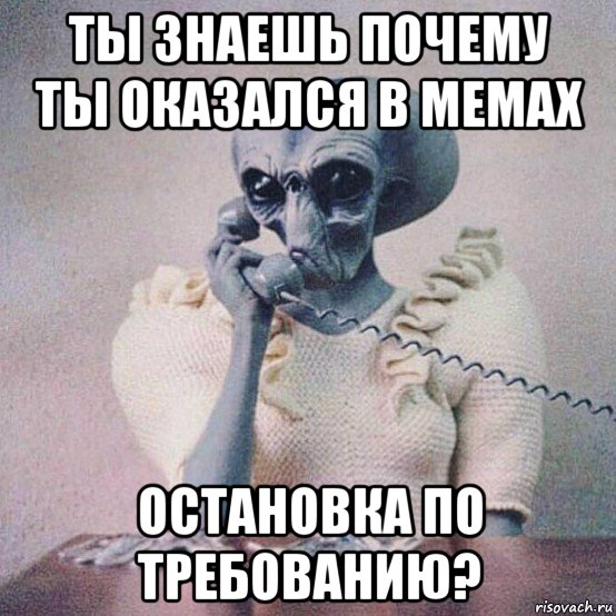 ты знаешь почему ты оказался в мемах остановка по требованию?
