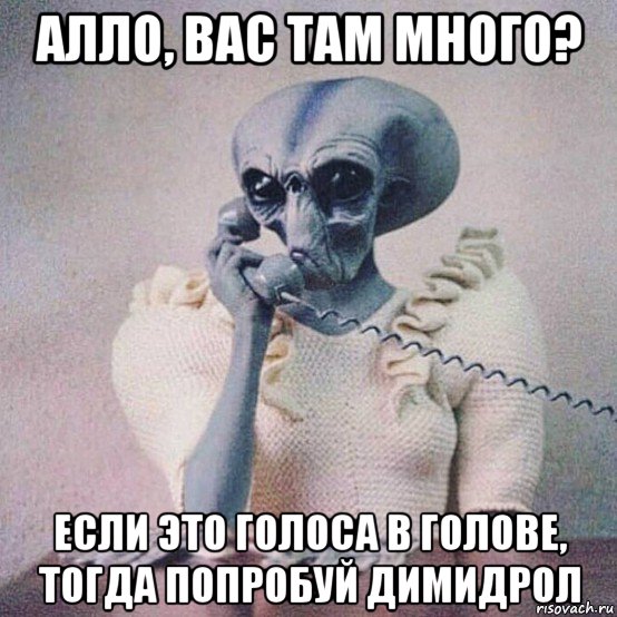 алло, вас там много? если это голоса в голове, тогда попробуй димидрол