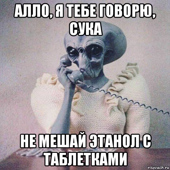 алло, я тебе говорю, сука не мешай этанол с таблетками