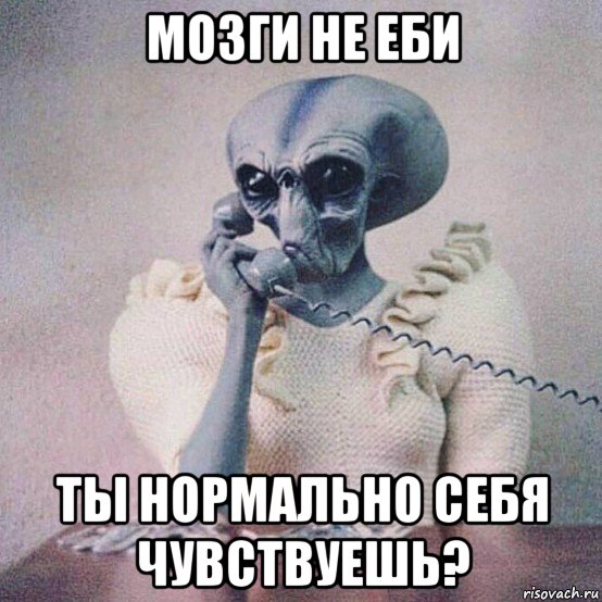 мозги не еби ты нормально себя чувствуешь?