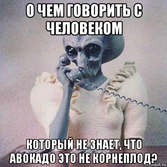 о чем говорить с человеком который не знает, что авокадо это не корнеплод?