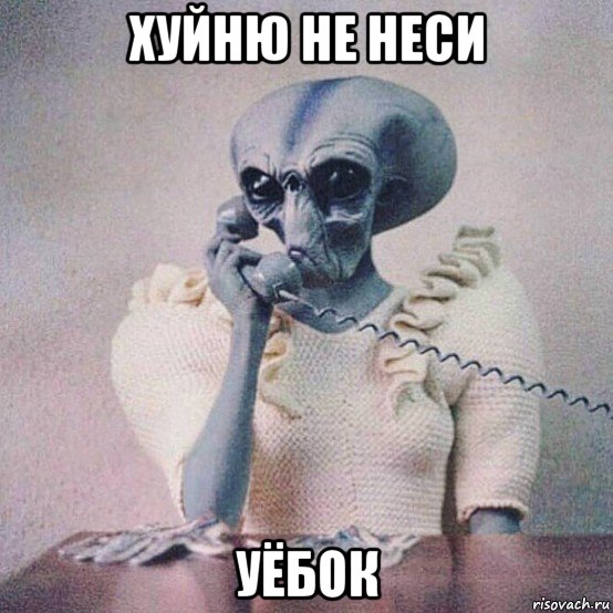 хуйню не неси уёбок