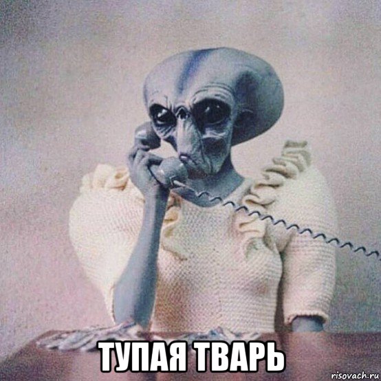  тупая тварь