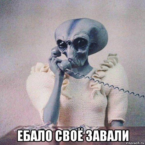  ебало своё завали